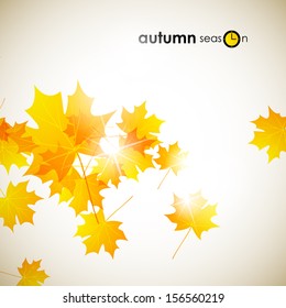 autumn background