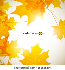 autumn background