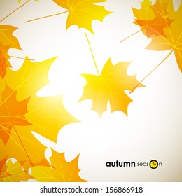 autumn background