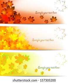 Autumn background