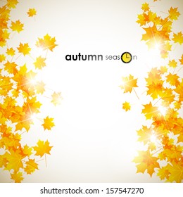autumn background