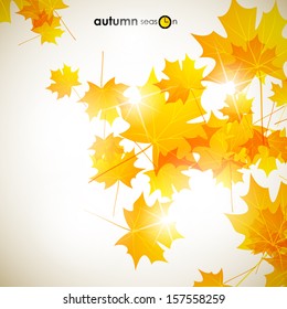 autumn background