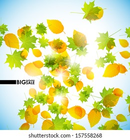 autumn background