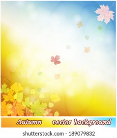 autumn background