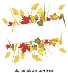 autumn background