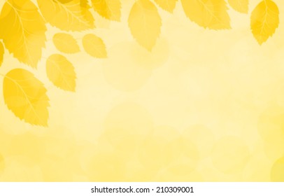 autumn background