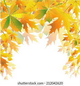 Autumn background