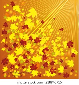 Autumn background