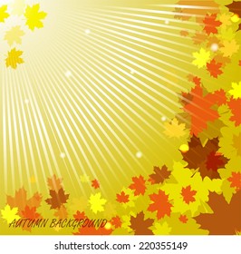 Autumn background