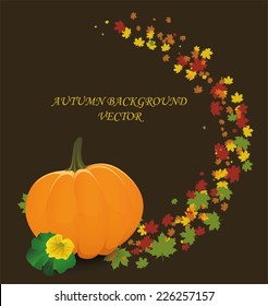Autumn background