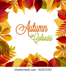 Autumn Background
