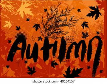 autumn background