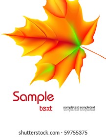 Autumn background