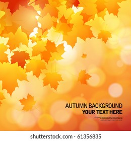 autumn background