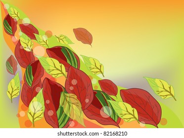 autumn background