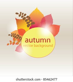 Autumn background