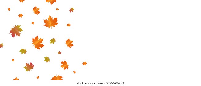 Autumn background arranged with leaves.