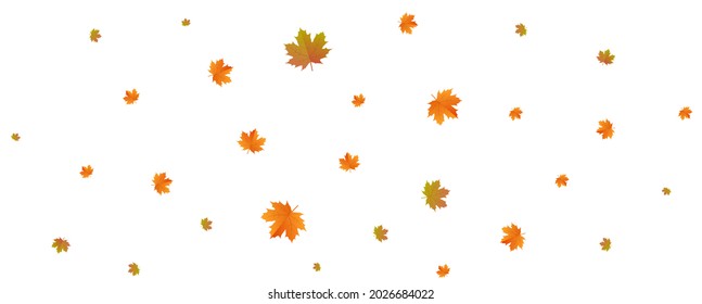 Autumn background arranged with leaves.