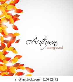 Autumn background. Autumnal card, frame, border. Autumn leaves. Autumnal leaves in warm colors. Beautiful autumn background with place for text. Vector illustration.