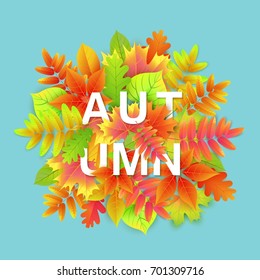 Autumn background, banner design with yellow, green, red leaves. Universal vector illustration with fall colorful foliage for card, invitation, party poster.
