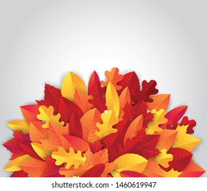 Autumn background banner with red and orange leaves. Vector illustration.