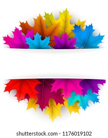 Autumn background with beautiful color maple leaves. Vector сard or poster template. 