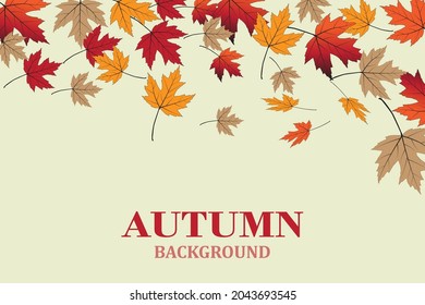 autumn background with beautiful leaves