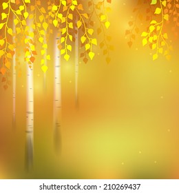 Autumn  background with birch grove.