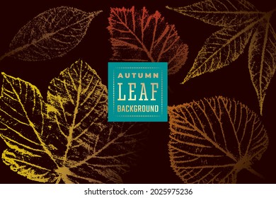 Autumn Background with Bird Cherry Hazel Linden Elder and Sycamore Fall Leaves Vintage Print Style Composition Template - Red Rusty and Yellow on Light Backdrop - Vector Graphic Stamp Design