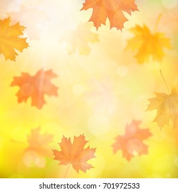 Autumn background with blurred maple fallen leaves. Falling foliage with defocus effect. Vector illustration.