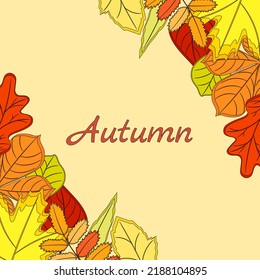 Autumn background from botanical leaves. Vector illustration.
