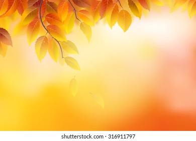 Autumn background with branches and leaves