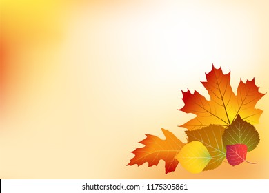 223,304 Autumn Leaf Border Images, Stock Photos & Vectors | Shutterstock