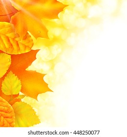 Autumn background with bright golden leaves, vector illustration