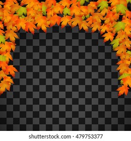 Autumn background. Bright orange leaves on a transparent background. Vector illustration