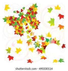 Autumn background with butterfly leaf in maple