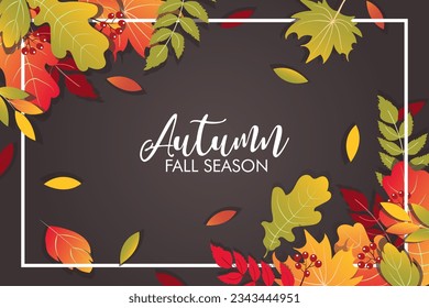 Autumn background with calorful leaves. frame can be used for poster, banner, flyer, invitation, website or greeting card. Vector illustration autumn season