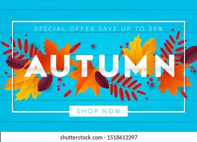 Autumn background. Can use for sale banner, party invitation, greeting card, banner, web project.