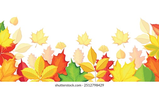Fondo de otoño en estilo de dibujos animados. Ilustración vectorial de hojas de otoño de diferentes colores y tipos: arce, roble, ginkgo, abedul, castaño, nogal, ramas aisladas sobre fondo blanco. Anuncio. 
