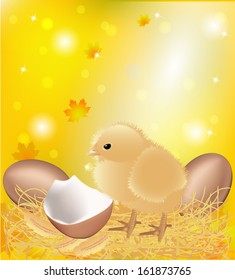Autumn background with chicken