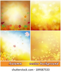 Autumn background collection