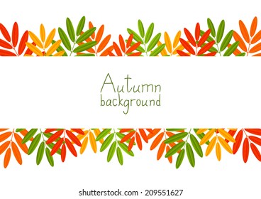 Autumn background with color leaves