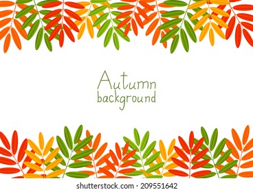 Autumn background with color leaves