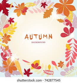 Autumn background. Color autumn leaves and blue sky background.