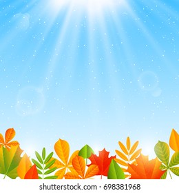 Autumn background with color leaves border