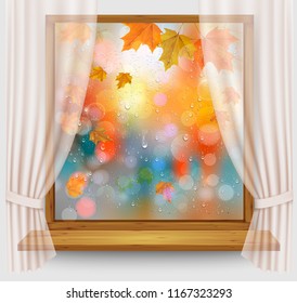 Autumn background with colordul leaves and water droplets on the transparent window. Vector
