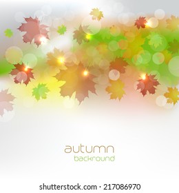 Autumn background with colored leaves 