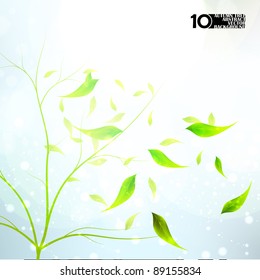 Autumn background, colorful environment leaf, season poster eps10