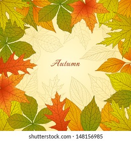 Autumn background with colorful leafs