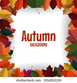 Autumn background with colorful autumn leaves